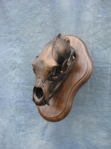 Bronzed black bear European skull mount; British Columbia, Canada