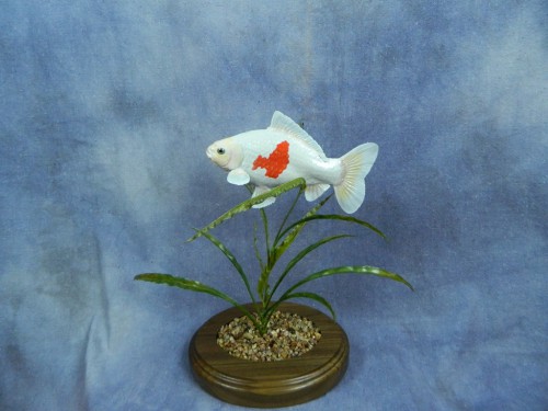 Goldfish mount; Aberdeen, South Dakota