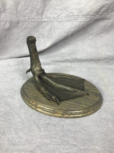 Bronzed tundra swan taxidermy foot plaque; Groton, SD